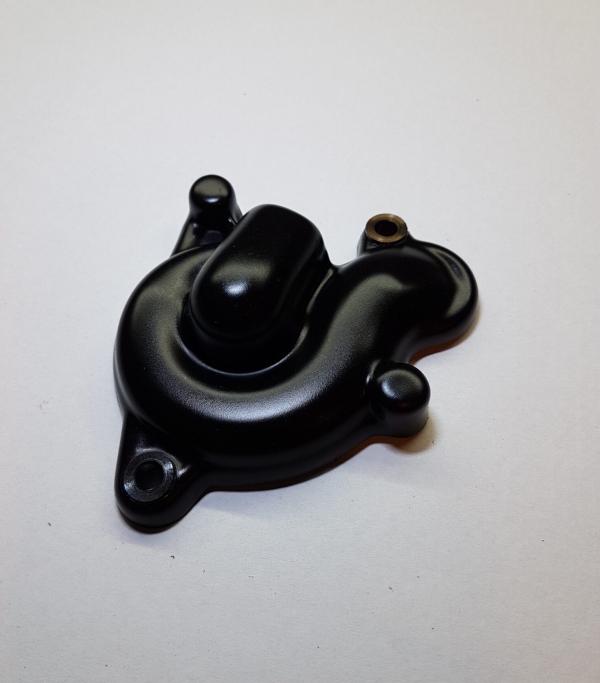 Hog Beta RR 4-Takt Wasserpumpenschutz ab Bj. 2010