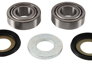 WRP Steuerkopflager Set