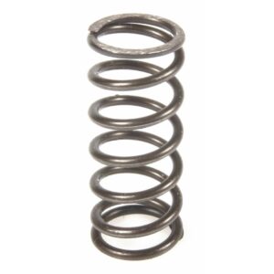Surflex Kupplungsfedern Beta / Sherco